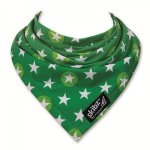 Star Bright Skibz Teething Bib